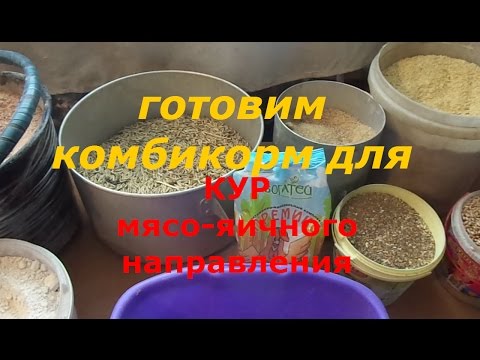 Видео: рецепт комбикорма для кур мясояичного направления