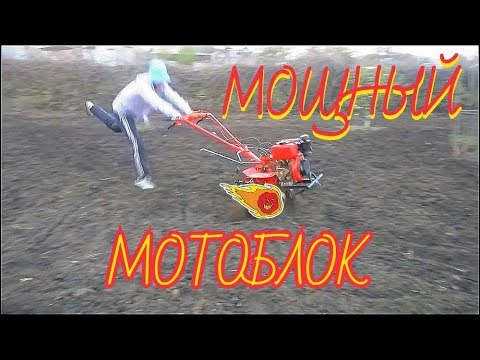 Видео: Мощный дизельный мотоблок FORTE - ОБЗОР, ЗАПУСК, ОБРАБОТКА ПОЧВЫ