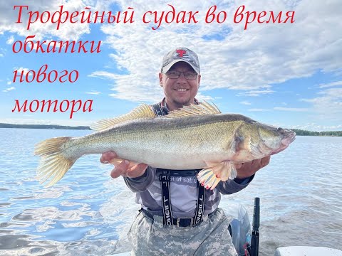 Видео: Трофейный судак во время обкатки мотора)))