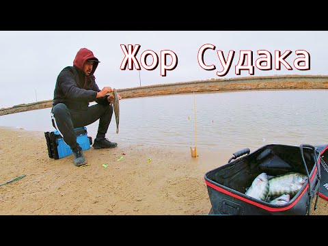 Видео: Осенний жор Судака! Резинка рулит 💯 