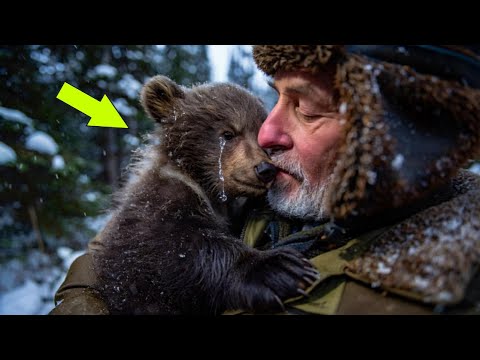 Видео: Плачущего МЕДВЕЖОНКА бросили в лесу, но то, что сделал охотник, повергло в Шок!