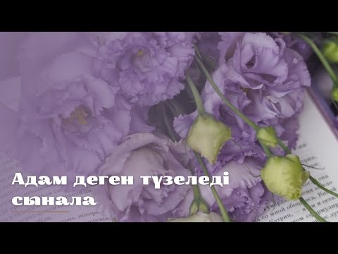 Видео: #әңгіме Естімеген елде көп.