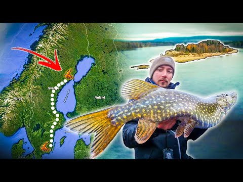 Видео: В ПОИСКАХ ЩУКИ НА ЗАКРЫТОЙ ЛОСОСЕВОЙ РЕКЕ (Есть Ли Там Щука?)| Team Galant