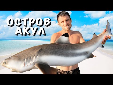 Видео: ОСТРОВ АКУЛ. Выживание на необитаемом острове [СБОРНИК 3-го СЕЗОНА]