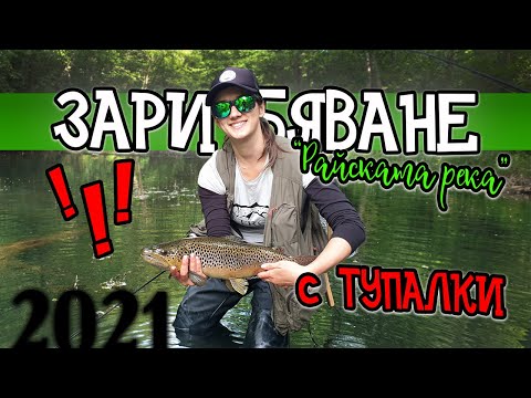 Видео: Зарибяване на "Райската" с ТУПАЛКИ!