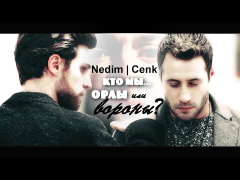 Видео: Nedim & Cemre & Cenk / Недим & Джемре & Дженк - Кто мы