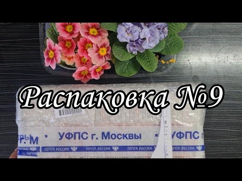 Видео: Распаковка №9 посылка из Москвы 😍