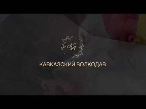 Видео: Осмотр молодняка Кавказских волкодавов