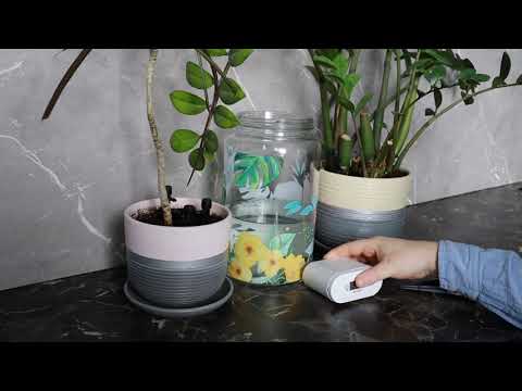Видео: Автополив комнатных растений Xplants(Версия 2024 года)