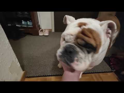 Видео: 22 октября 2025 г.