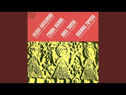 Видео: Седенкя се бере