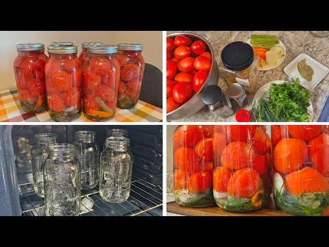 Видео: КОНСЕРВОВАНІ ПОМІДОРИ НА ЗИМУ🍅🍅🍅Найкращий рецепт