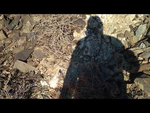 Видео: Как в ущелье отбирать пробы при поиске золота.