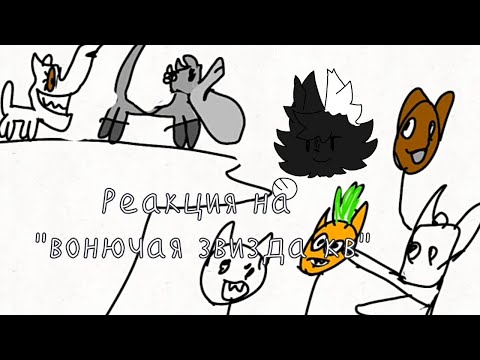Видео: РЕАКЦИЯ НА ВОНЮЧУЮ ЗВЕЗДУ// #котывоители //#реакция  @Feather_CW
