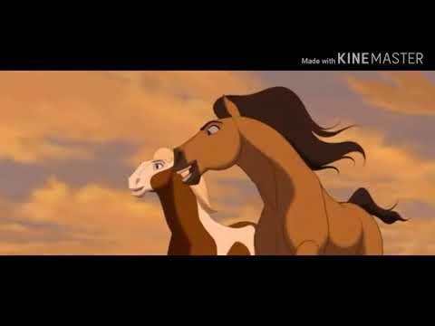 Видео: ☆Спирит Душа Прерий☆ {Клип: Мот - День и Ночь.} (Ч.О!)