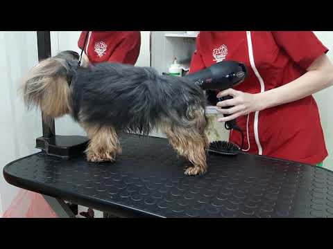 Видео: Укладка шерсти полуобъёмного типа.