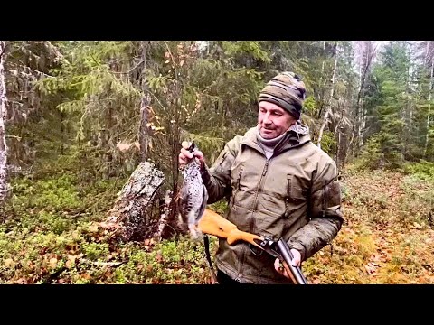 Видео: Проверяем петли на рябчика. Удачный выстрел. О жизни в деревне. Тайга