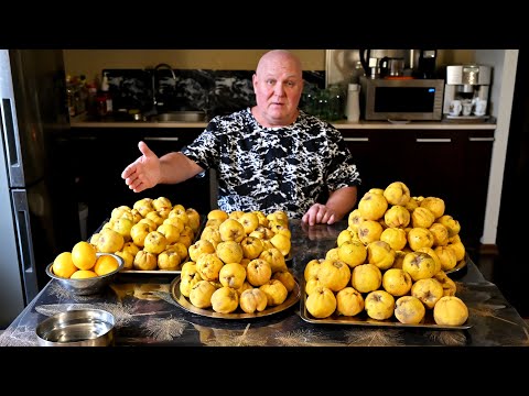 Видео: ДЖЕМ из АЙВЫ на ЗИМУ. Выпуск №1196