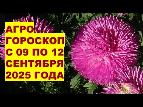 Видео: Лучшие Советы Для Сада и Огорода с 09 по 12 Сентября 2025!