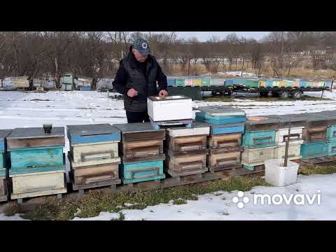 Видео: Альтернатива для ППС, ППУ ульев. Донья и крыши из дерева.