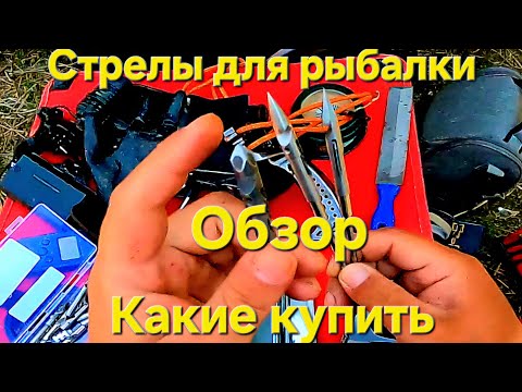 Видео: Стрелы для рыбалки с рогаткой,какие купить #рыбалкасрогаткой #slingshot #slingshotfishing #трофейная