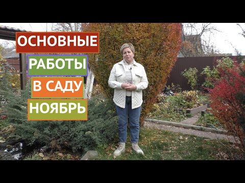 Видео: НЕ ЗАБУДЬТЕ СДЕЛАТЬ ЭТО В САДУ В НОЯБРЕ!