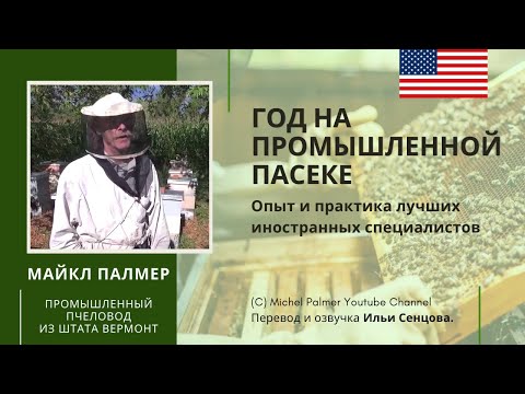Видео: Год на промышленной пасеке Майкла Палмера (Вермонт, США)