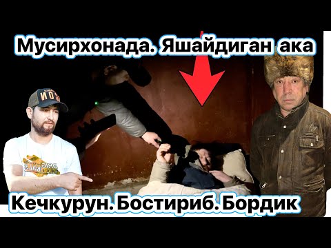 Видео: БУГУН ЯРИМ КЕЧАСИ БОСТИРИБ БОРДИК КОЧИБ КЕТДИ МУСИРХОНАДА ЯШАЙДИГАН БОТУР АКА КАЙРДА