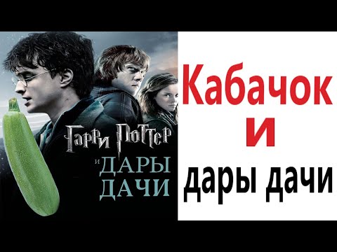 Видео: Приколы! КАБАЧОК И ДАРЫ ДАЧИ - МЕМЫ!!! Смешные видео от – Доми шоу!