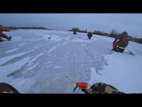 Видео: В подъем воды. Зимняя Рыбалка на Оке! Рыбалка в январе 2023.