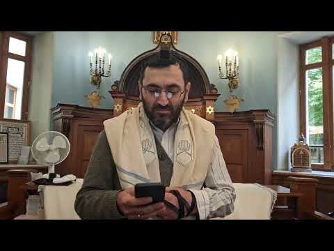 Видео: Поимай меня если сможешь, Ваелех.