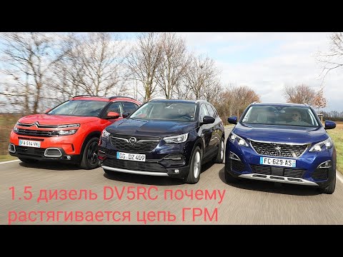 Видео: 1.5 дизель  DV5RC почему растягивается цепь ГРМ