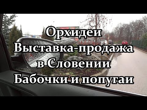 Видео: 🌺 Орхидеи. Выставка продажа в Словении.  Бабочки и попугаи. Часть 1