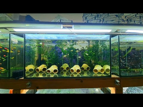 Видео: С разводни