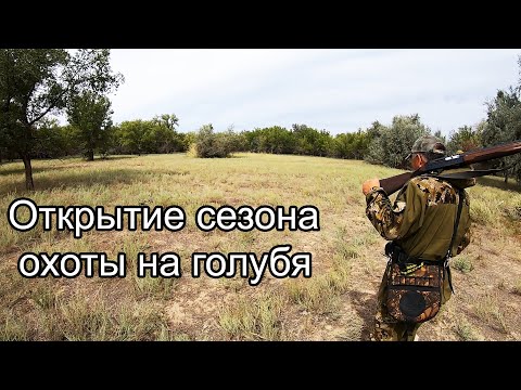 Видео: Открытие СЕЗОНА ОХОТЫ НА ГОЛУБЯ - 2022 год. Алматинская область, Казахстан.