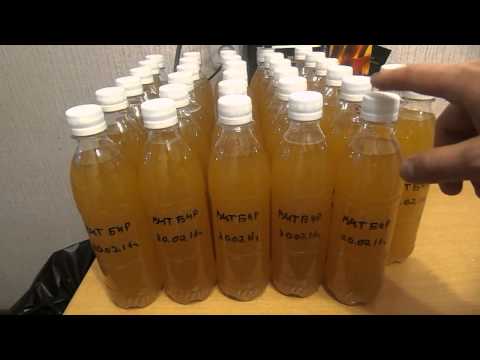 Видео: Варим Пшеничное пиво в кастрюле. Часть 2 - разливаем на карбонизацию