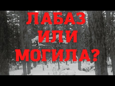 Видео: Перевал Дятлова. Лабаз, могила шамана и сопровождающий манси