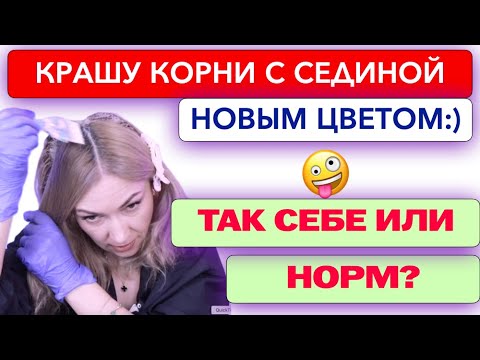 Видео: Закрашиваю себе седину новым цветом | Окрашивание седины в домашних условиях Ева Лорман