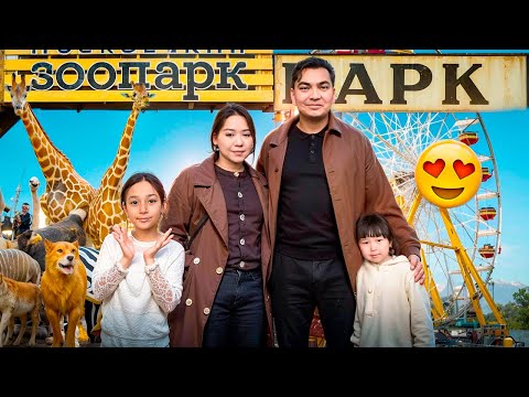 Видео: Аружан, Жасмин мен Томикошты ҚЫДЫРТТЫМ😍| Зоопарк влог🎥