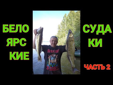 Видео: /// БЕЛОЯРСКИЕ СУДАКИ В ЖАРУ ///  ЧАСТЬ 2 ///