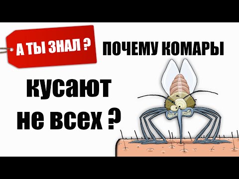 Видео: Почему КОМАРЫ кусают НЕ всех? А ТЫ ЗНАЛ?