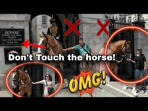 Видео: ГЛАВНЫЙ МОМЕНТ: КОГДА ТУРИСТЫ ПРОИГНОРИРОВАЛИ ЗНАК!❌️