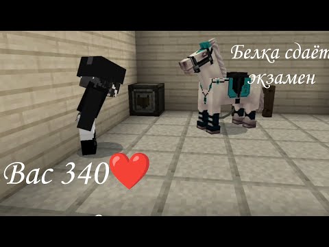Видео: Белка сдала экзамен | Вас 340❤ | кск в Майнкрафт | кск мираж | #minecraft #лошади #кони #майнкрафт