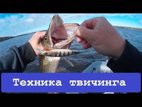 Видео: Твичинг для начинающих. Как ловить на воблеры.