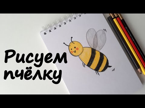 Видео: Как нарисовать пчёлку цветными карандашами просто | Рисование для детей и начинающих