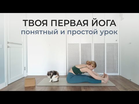Видео: ЙОГА ДЛЯ НАЧИНАЮЩИХ С НУЛЯ: полный урок для новичков | простая йога Айенгара для женщин