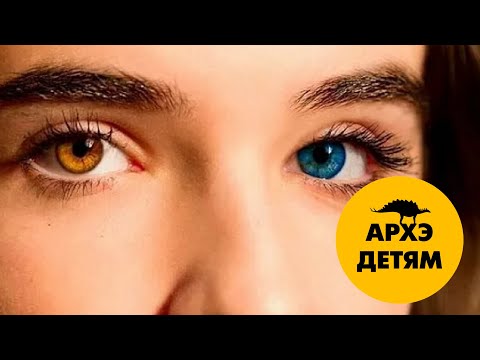 Видео: Как наследуется цвет глаз?  | Татьяна Шнайдер (выпуск 14)