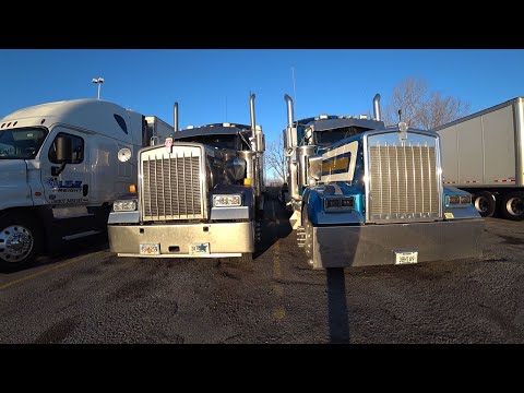 Видео: Как Костя кинул меня. Моя первая работа в США