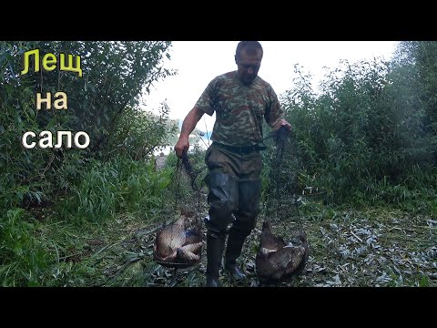 Видео: Ловля леща .Эта рыбалка запомнится надолго.