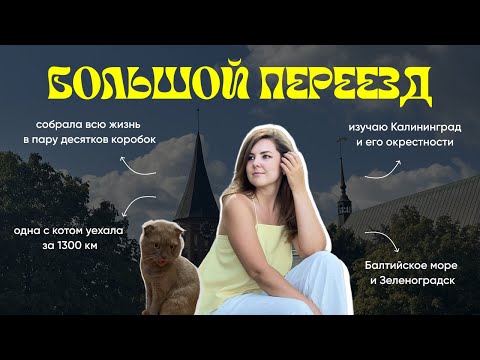 Видео: БОЛЬШОЙ ПЕРЕЕЗД 2025 или как я уехала в Калининград с котом и двумя чемоданами за новыми смыслами.